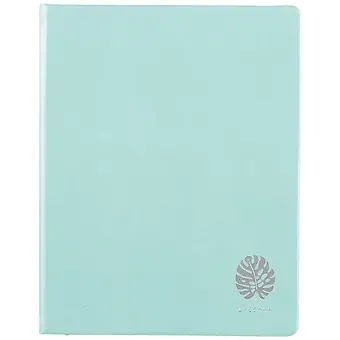 Дневник школьный Listoff, 