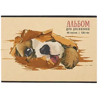 Альбом для рисования Academy Style, 