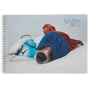 Альбом для рисования Listoff, Sweet dreams, А4, 40 листов, на гребне