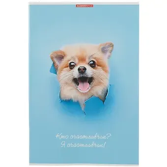 Тетрадь в клетку Academy Style, 