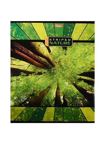 Тетрадь в линейку Hatber, 