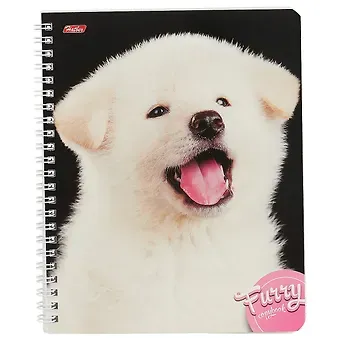 Тетрадь в клетку Hatber, 