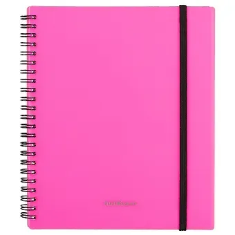 Тетрадь в клетку Erich Krause, Glance Neon, 80 листов, в ассортименте