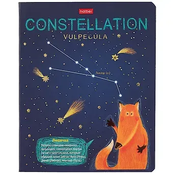 Тетрадь в клетку Hatber, 