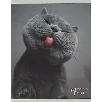 Тетрадь в клетку Listoff, 