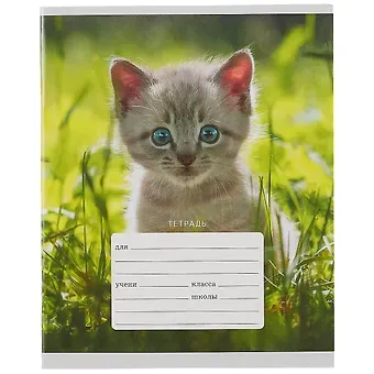 Тетрадь в линейку Listoff, 