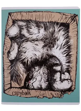 Тетрадь в клетку Феникс+, 