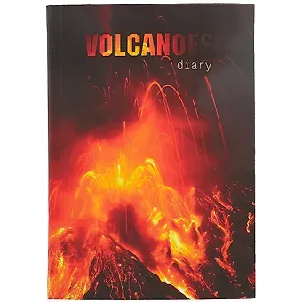 Ежедневник недат. А5 128л 