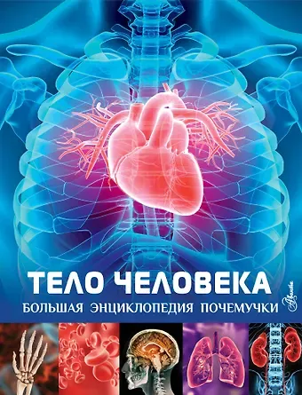 Клэр Гибберт Тело человека