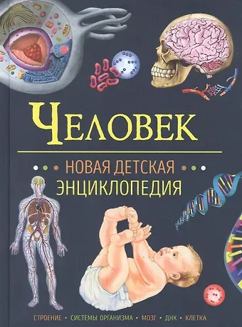 Лариса Владимировна Клюшник Человек. Новая детская энциклопедия