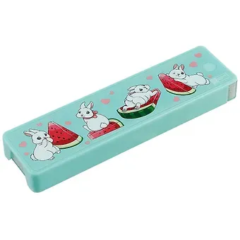 Пенал школьный 