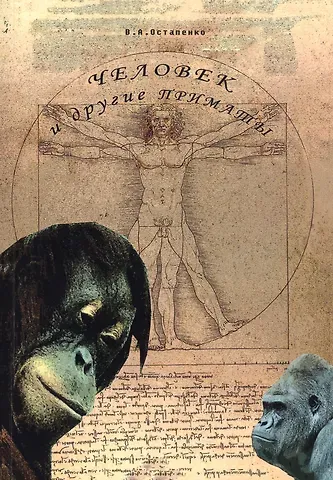 Владимир Алексеевич Остапенко Человек и другие приматы. Учебное пособие