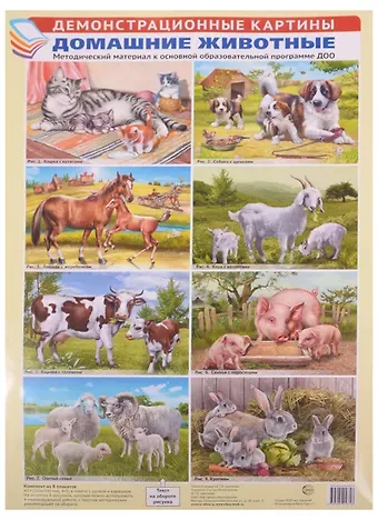 Демонстрационные картины. Домашние животные. Методический материал к основной образовательной программе ДОО