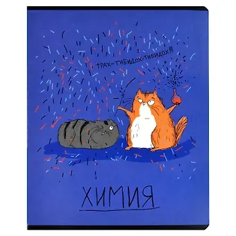 Тетрадь предметная в клетку Феникс+, 