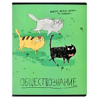 Тетрадь предметная в клетку Феникс+, 