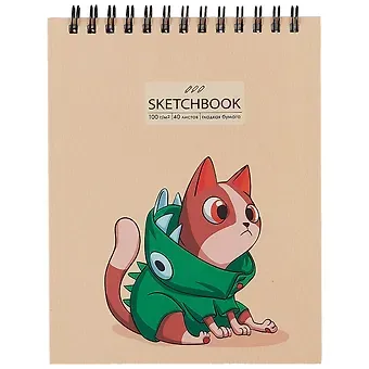 Скетчбук А6+ 125*160 40л 