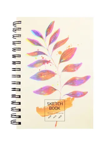 Скетчбук А5 100л 