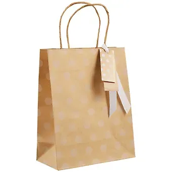 Пакет А5 25,5*21*10 