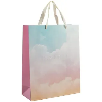 Пакет А4 32*26*10 