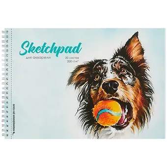 Скетчбук А4 20л 