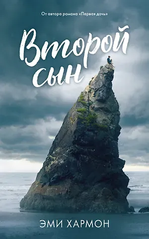 Эми Хармон Второй сын