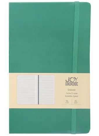 Книга для записей А5 96л лин. 