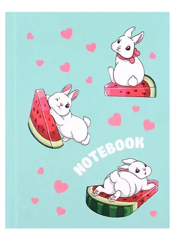 Записная книжка А6 48л лин. 