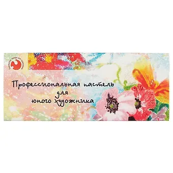 Пастель сухая «Для юного художника», 20 цветов