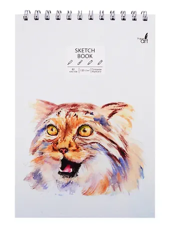 Скетчбук А5+ 80л 
