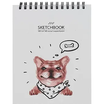 Скетчбук А6+ 125*160 40л 