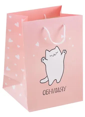 Пакет А5 23*18*10 