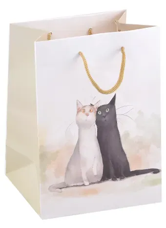 Пакет А5 23*18*10 