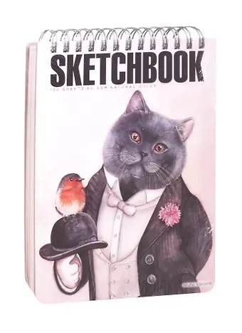 Скетчбук 185*250 120л 