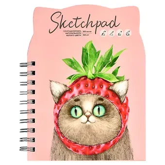 Скетчбук А5 100л 