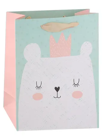 Пакет А4 32*26*12 