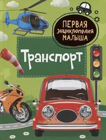 Лариса Александровна Попова Транспорт