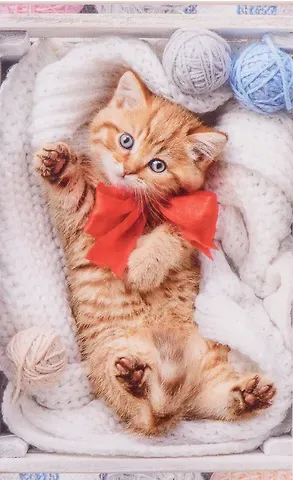 Набор для творчества. Картина по номерам. ПАННО 