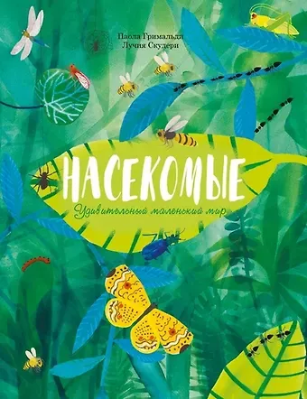 Паола Гримальди Насекомые. Удивительный маленький мир