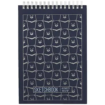 Скетчбук А5 40л 