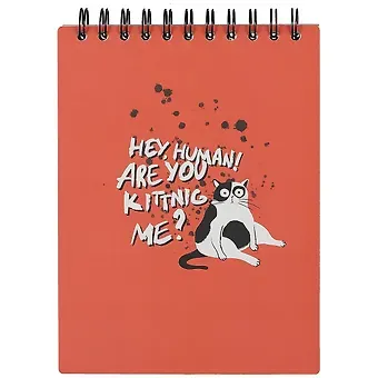 Скетчбук А5 45л 