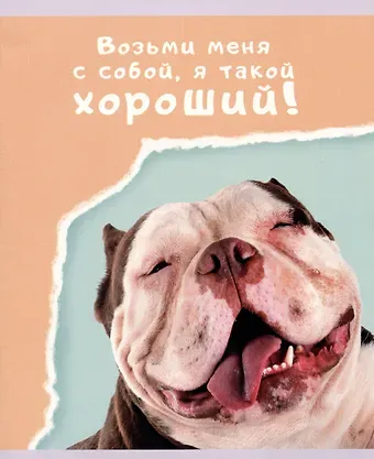 Тетрадь в линейку Listoff, 