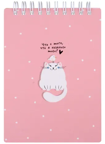 Блокнот 102*142мм 100л кл. 