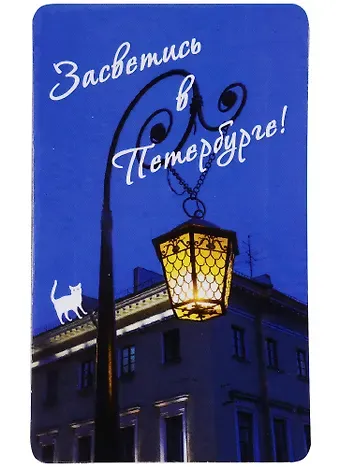 Магнит СПб Засветись в Петербурге (фото) (9х5,5) (винил) (МВ2019-002/010)