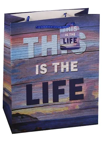 Пакет подарочный бумажный А4 