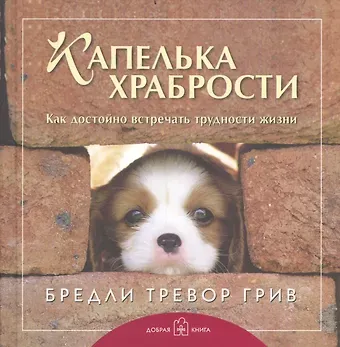 Лучшему другу. Капелька храбрости. Как достойно встречать трудности жизни (комплект из 3 книг)
