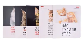 Тетради в клетку Hatber, 