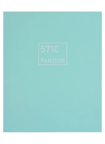 Книга для записей А5+ 96л кл. 