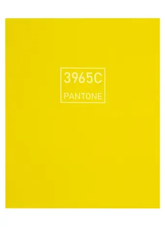 Книга для записей А5+ 96л лин. 