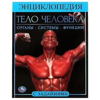 Пётр Михайлович Волцит Тело человека