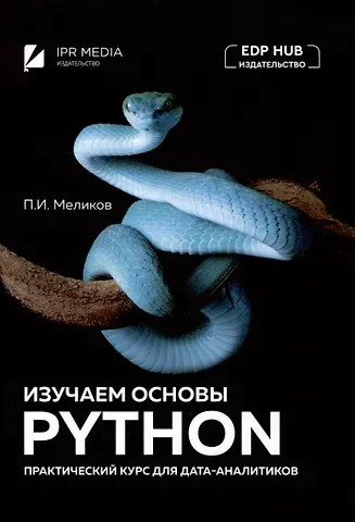 Павел Ильич Меликов Изучаем основы Python. Практический курс для дата-аналитиков